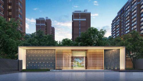 石家庄龙湖爆料事件视频,揭露背后惊人真相  第2张