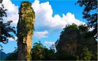 张家界导游爆料视频最新,隐藏的绝美景点与不为人知的旅行秘籍 第1张 张家界导游爆料视频最新,隐藏的绝美景点与不为人知的旅行秘籍 第1张